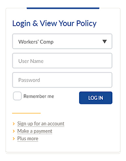 this is an image of the login form